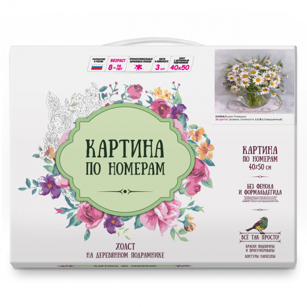 Картина по номерам Бузин. Ромашки